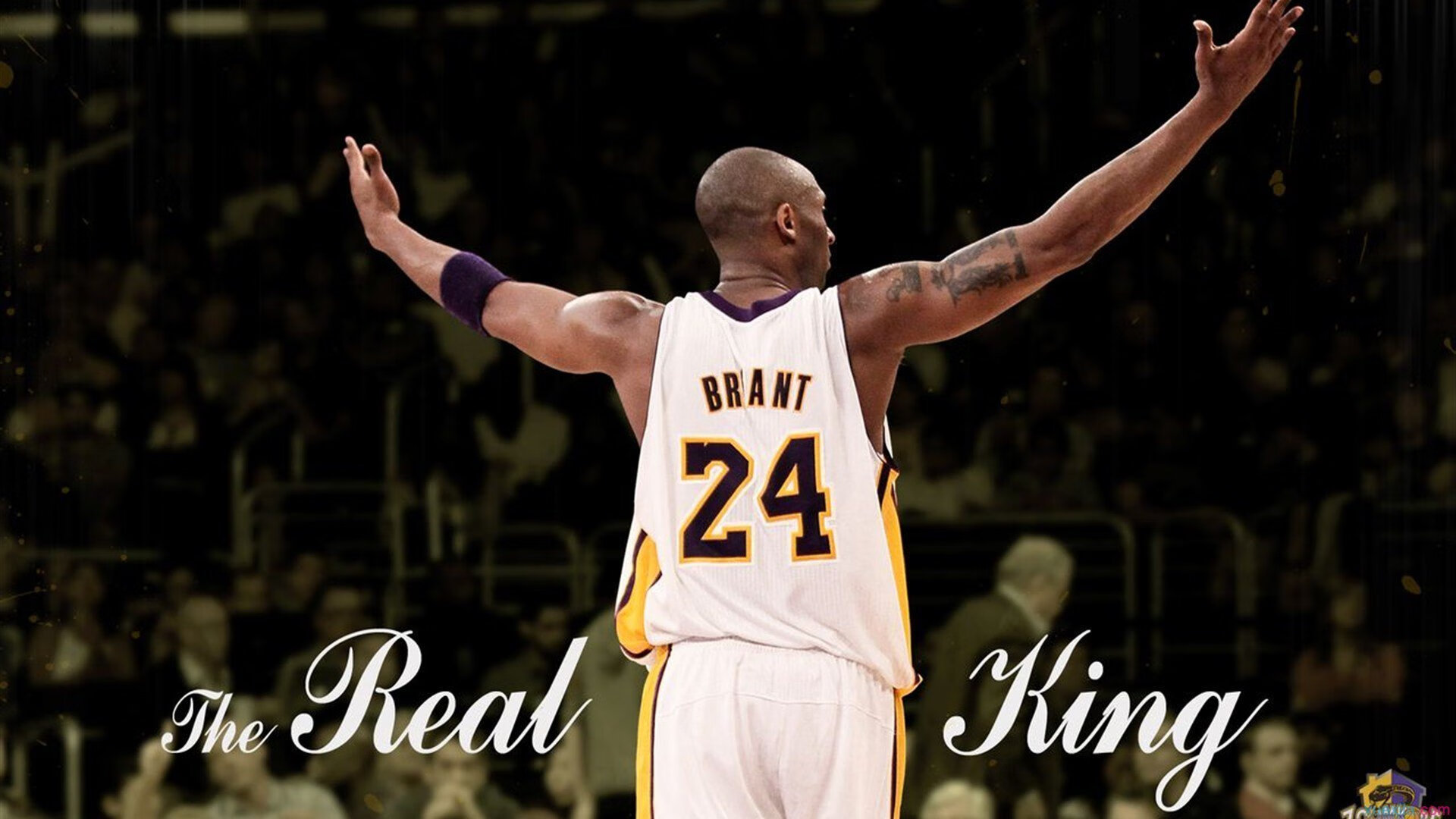 意甲焦点战与广东压哨绝杀，体育之夜的激情交响